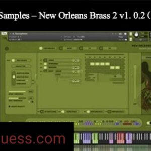 Insanity Samples – New Orleans Brass 2 v1. 0.2 ( Kontakt).