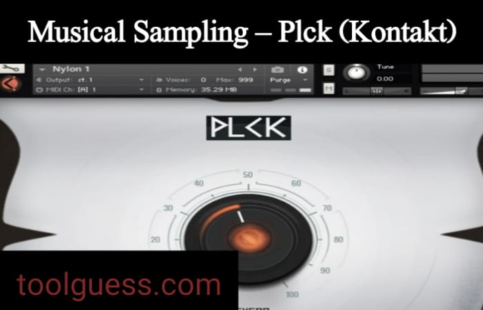 Musical Sampling – Plck (Kontakt)